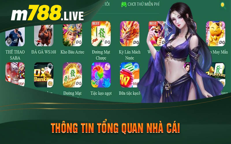 Thông Tin Tổng Quan Nhà Cái 